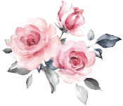 Illustration représentant un bouquet de Rose