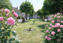 Bouts de roses sur le village