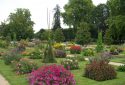 JDP Le Concours International de Roses d'Orléans (2)