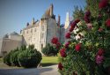 Roses au château de Meung