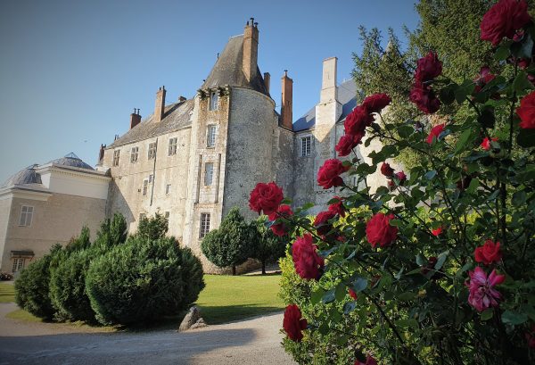 Roses au château de Meung