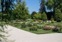 Route de la Rose - Jardin des plantes Orléans - Crédit photo = IOAproduction - Sébastien Richard (30)