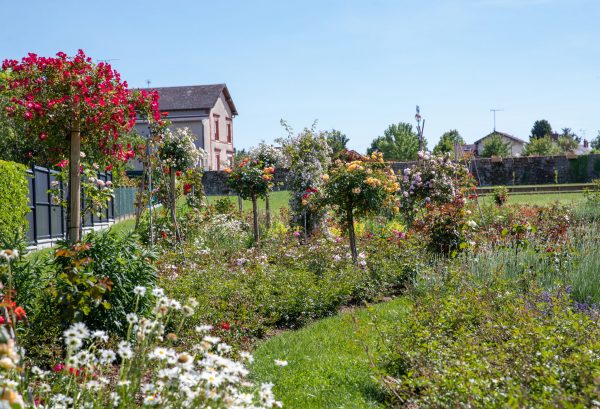 Route de la Rose - Jardin à theme Quies-sur-Bezonde - Crédit photo = IOAproduction - Sébastien Richard (2)