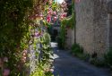 Route de la Rose - Yèvre-le-Châtel - Crédit photo = IOAproduction - Sébastien Richard (198)