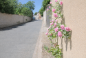 Rue tranquille avec roses grimpantes