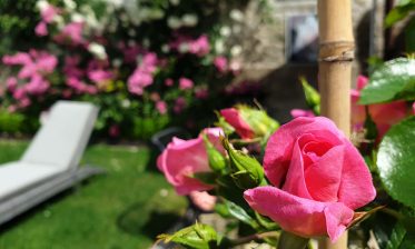 la-route-de-la-rose-restaurant-le-lancelot-2019-loiret-jardin-3-992px